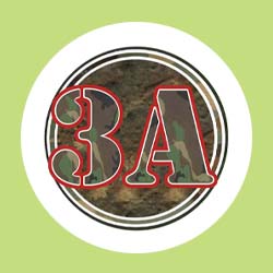 3a raceway logo